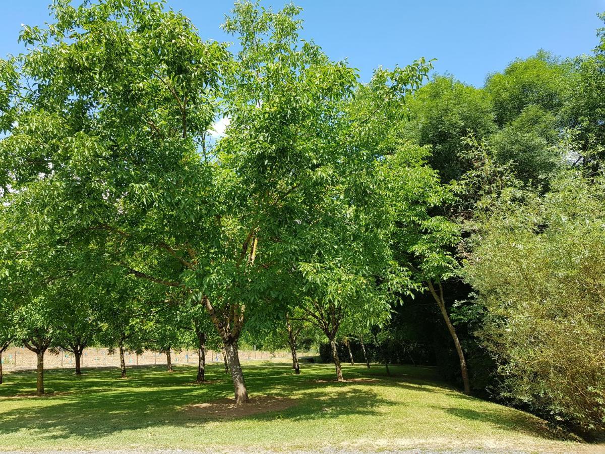 Moulin Du Soustre Bed & Breakfast Cavagnac Bagian luar foto